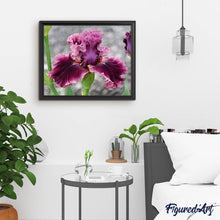 Cargar imagen en el visor de la galería, Punto De Cruz Diamante - Punto De Cruz Diamante - Iris Granate - Figuredart - Flores Punto De Cruz Diamante Flores