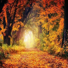 Cargar imagen en el visor de la galería, Punto De Cruz Diamante - Punto De Cruz Diamante - Paseo En El Bosque - Figuredart - Paisajes Punto De Cruz Diamante Paisajes