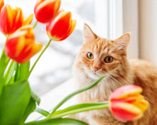 Cargar imagen en el visor de la galería, Diamond Painting - Retrato de gato y flores