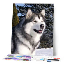 Cargar imagen en el visor de la galería, Punto De Cruz Diamante - Punto De Cruz Diamante - Husky En La Nieve - Figuredart - Invierno Mascotas Punto De Cruz Diamante Animales