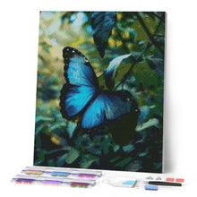 Cargar imagen en el visor de la galería, Diamond Painting - Mariposa Morfo Azul 40x50cm con bastidor montado