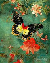 Cargar imagen en el visor de la galería, Diamond Painting - Diamond Painting - Mariposa Troide Minos 40x50cm con bastidor montado