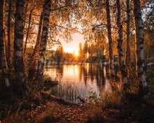 Cargar imagen en el visor de la galería, Diamond Painting - Lago de Abedules Dorados