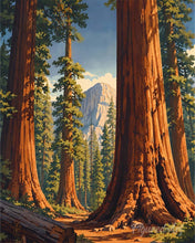 Cargar imagen en el visor de la galería, Diamond Painting - Parque Nacional de Yosemite, Mariposa Grove - California