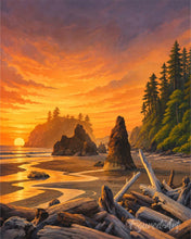Cargar imagen en el visor de la galería, Diamond Painting - Parque nacional Olympic - Washington