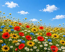 Cargar imagen en el visor de la galería, Diamond Painting - Pradera de flores silvestres