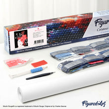 Cargar imagen en el visor de la galería, Diamond Painting - Cartel Moulin Rouge - París bajo las estrellas