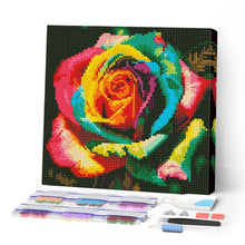 Cargar imagen en el visor de la galería, Mini Diamond Painting 25x25cm - Rosa Multicolor