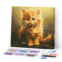 Cargar imagen en el visor de la galería, Mini Diamond Painting 25x25cm - Gatito Naranja Peludo