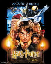 Cargar imagen en el visor de la galería, Diamond Painting - Harry Potter y la Piedra Filosofal 40x50cm con bastidor montado