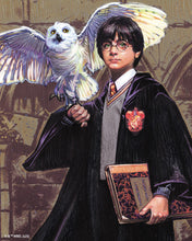 Cargar imagen en el visor de la galería, Diamond Painting - Harry Potter y Hedwig 40x50cm con bastidor montado