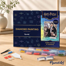 Cargar imagen en el visor de la galería, Diamond Painting - Harry Potter y Hedwig 40x50cm con bastidor montado