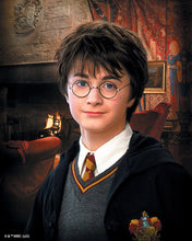 Cargar imagen en el visor de la galería, Diamond Painting - Retrato de Harry Potter 40x50cm con bastidor montado