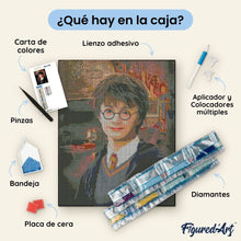Cargar imagen en el visor de la galería, Diamond Painting - Retrato de Harry Potter 40x50cm con bastidor montado
