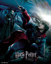Cargar imagen en el visor de la galería, Diamond Painting - Harry Potter y el Cáliz de Fuego 40x50cm con bastidor montado