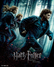 Cargar imagen en el visor de la galería, Diamond Painting - Harry Potter y las Reliquias de la Muerte - Parte 1 40x50cm con bastidor montado