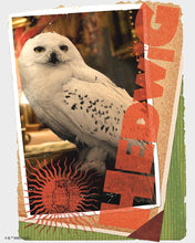 Cargar imagen en el visor de la galería, Diamond Painting - Carta de Hedwig - Harry Potter 40x50cm con bastidor montado