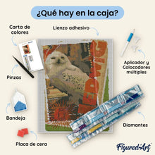 Cargar imagen en el visor de la galería, Diamond Painting - Carta de Hedwig - Harry Potter 40x50cm con bastidor montado