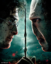 Cargar imagen en el visor de la galería, Diamond Painting - Harry Potter contra Lord Voldemort 40x50cm con bastidor montado