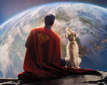 Cargar imagen en el visor de la galería, Diamond Painting - Superman y Krypto 40x50cm con bastidor montado