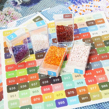 Cargar imagen en el visor de la galería, 572 Etiquetas Cuadradas DMC Diamond Painting