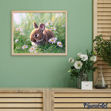 Cargar imagen en el visor de la galería, Pintar Por Números - Conejo y margueritas - Figuredart - Intermedio Animales Conejos Novedades