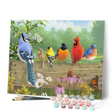Cargar imagen en el visor de la galería, Pintar Por Números - Pájaros en la barrera - Figuredart - Intermedio Animales Pájaros Novedades