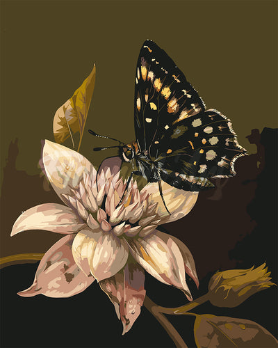 Pintar por numeros Figured'Art - Mariposa Mormona y Flor