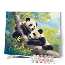 Cargar imagen en el visor de la galería, Pandas en una Rama