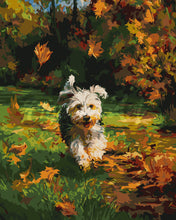 Cargar imagen en el visor de la galería, Pintar por numeros Figured&#39;Art - Cachorro alegre en otoño