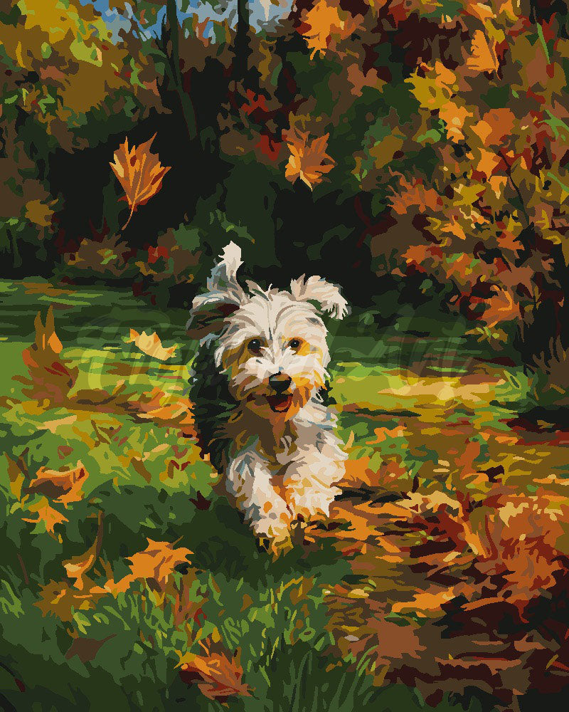Pintar por numeros Figured'Art - Cachorro alegre en otoño