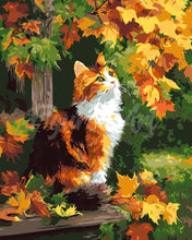 Cargar imagen en el visor de la galería, Pintar por numeros Figured&#39;Art - Gato calicó en otoño