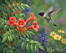 Cargar imagen en el visor de la galería, Pintar por numeros Figured'Art - Paraíso de colibríes