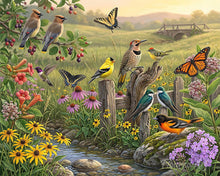 Cargar imagen en el visor de la galería, Pintar por numeros Figured'Art - Armonía de flores silvestres