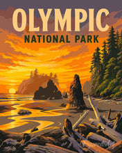 Cargar imagen en el visor de la galería, Pintar por numeros Figured'Art - Parque nacional Olympic - Washington