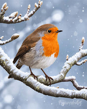Cargar imagen en el visor de la galería, Pintar por numeros Figured'Art - Petirrojo de invierno