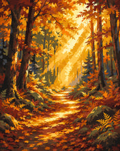 Cargar imagen en el visor de la galería, Pintar por numeros Figured'Art - Sendero del Bosque con Rayos de Sol