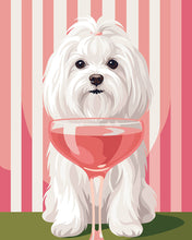 Cargar imagen en el visor de la galería, Pintar por numeros Figured'Art - Dulce bichón maltés