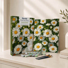 Cargar imagen en el visor de la galería, Kit Regalo Pintura por números - Margaritas Blancas