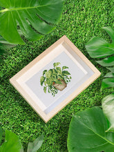 Cargar imagen en el visor de la galería, Mini Serie Diamond Painting - Plantas 2