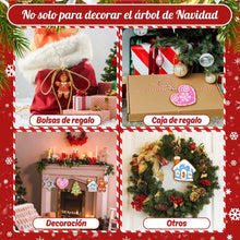 Cargar imagen en el visor de la galería, Decoraciones de Navidad Pintura por Números - Kit Casa y Hogar Alegre