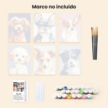 Cargar imagen en el visor de la galería, Mini Pintar por números 15x20cm (6 piezas) - Retratos Modernos de Perros 2
