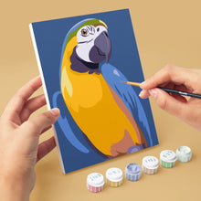 Cargar imagen en el visor de la galería, Mini Pintar por números 15x20cm (6 piezas) - Plumas Tropicales