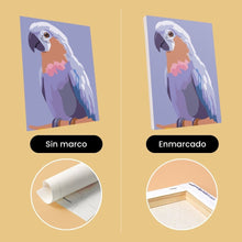 Cargar imagen en el visor de la galería, Mini Pintar por números 15x20cm (6 piezas) - Plumas Tropicales