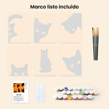 Cargar imagen en el visor de la galería, Mini Serie Pintar por números 15x20cm (6 piezas) - Gato Negro Escondite