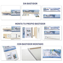 Cargar imagen en el visor de la galería, Tablas de surf coloridas