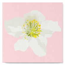 Cargar imagen en el visor de la galería, Mini Pintura por Números 20x20cm con bastidor Rose mosqueta