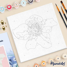 Cargar imagen en el visor de la galería, Mini Pintura por Números 20x20cm con bastidor Rose mosqueta