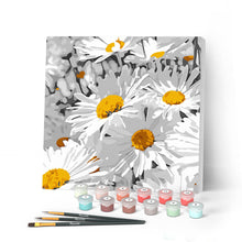 Cargar imagen en el visor de la galería, Mini Pintar por Números 20x20cm con bastidor Margaritas bonitas