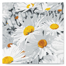 Cargar imagen en el visor de la galería, Mini Pintura por Números 20x20cm con bastidor Margaritas bonitas